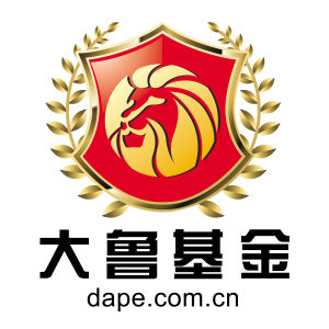 大魯基金公司LOGO設(shè)計