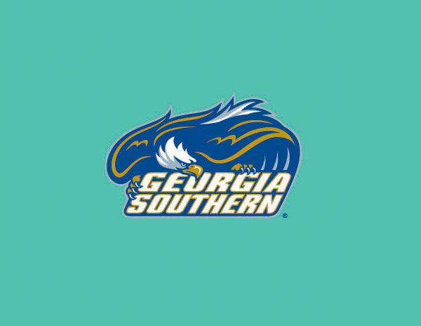 GEURGIASOUTHERN信息調(diào)查公司LOGO設(shè)計(jì)