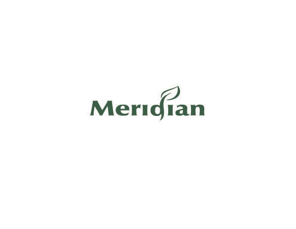 Merioian與綠葉相托的環(huán)保企業(yè)LOGO設(shè)計(jì)