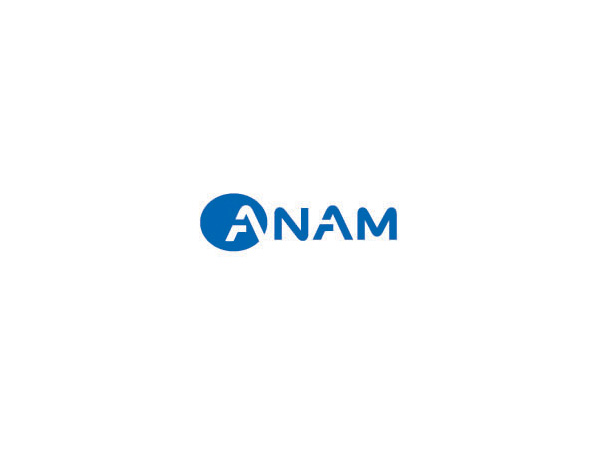 ANAM藍色科技公司LOGO設計