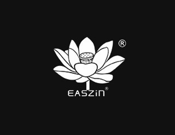 錢錢網(wǎng)信息技術(shù)公司旗下品牌EASZIN