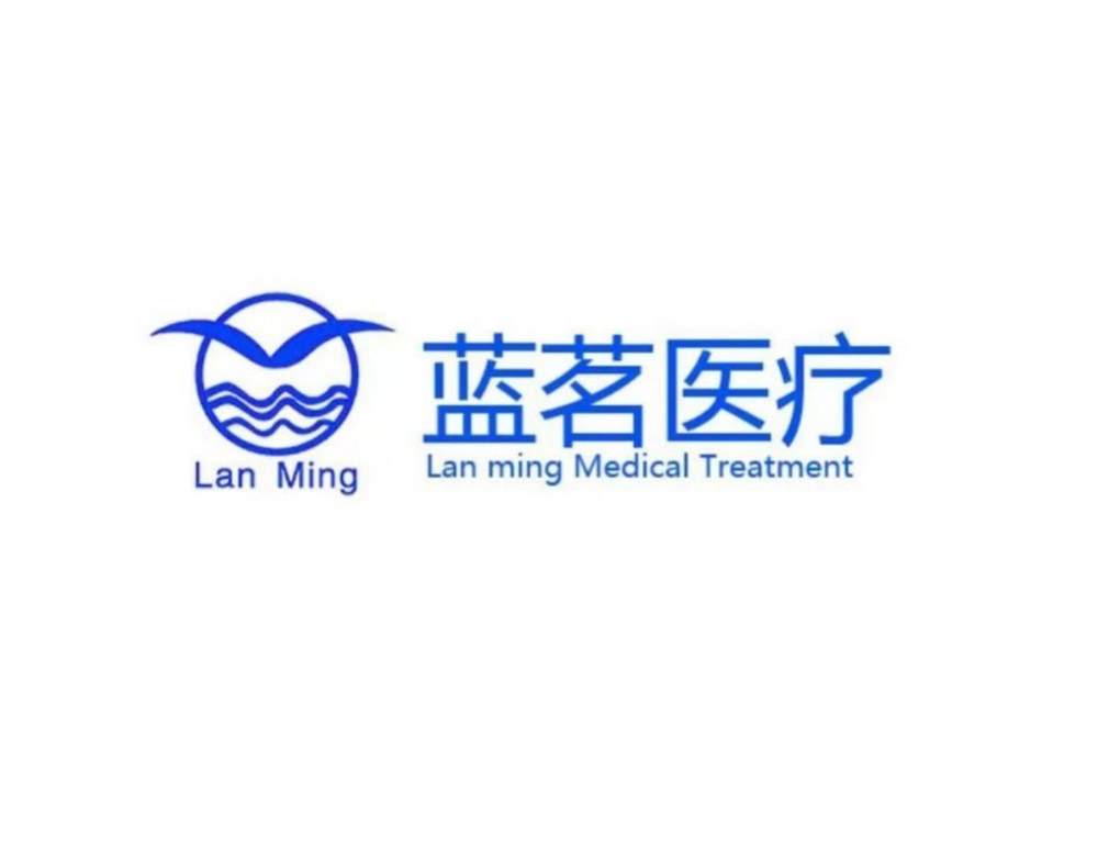 西安藍(lán)茗醫(yī)療科技有限公司LOGO設(shè)計(jì)介紹